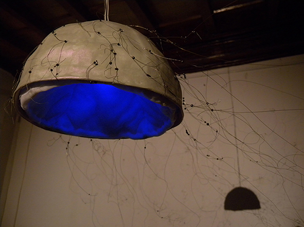 Clara-Luiselli-Calotta-1