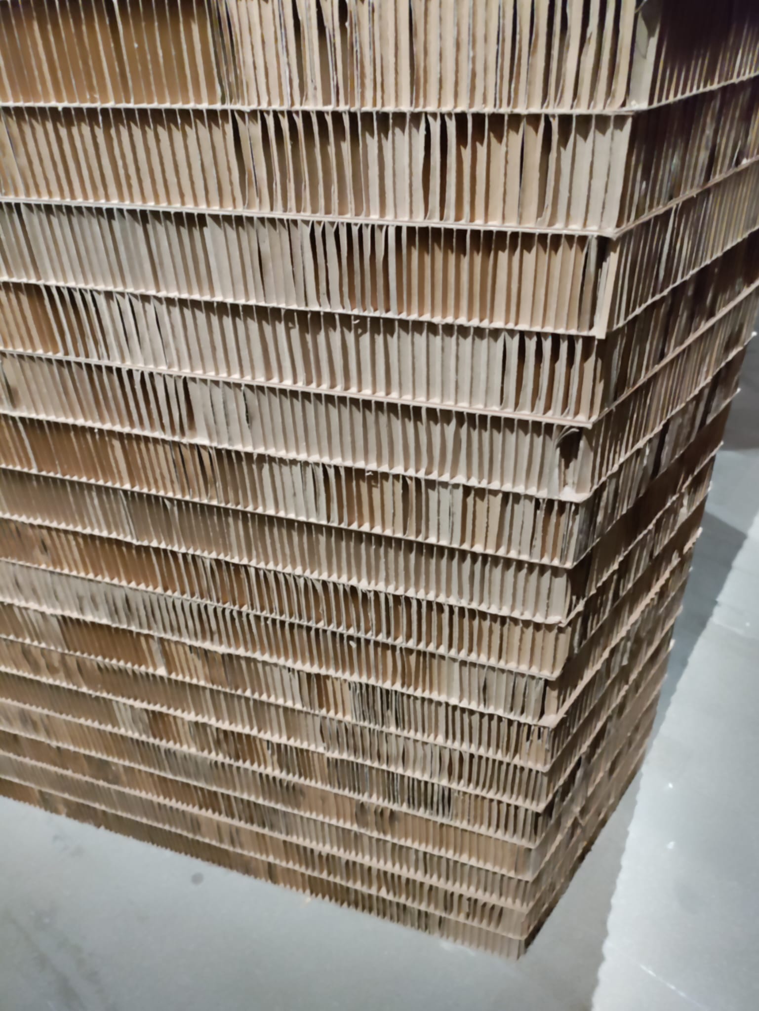 biennale arte Venezia